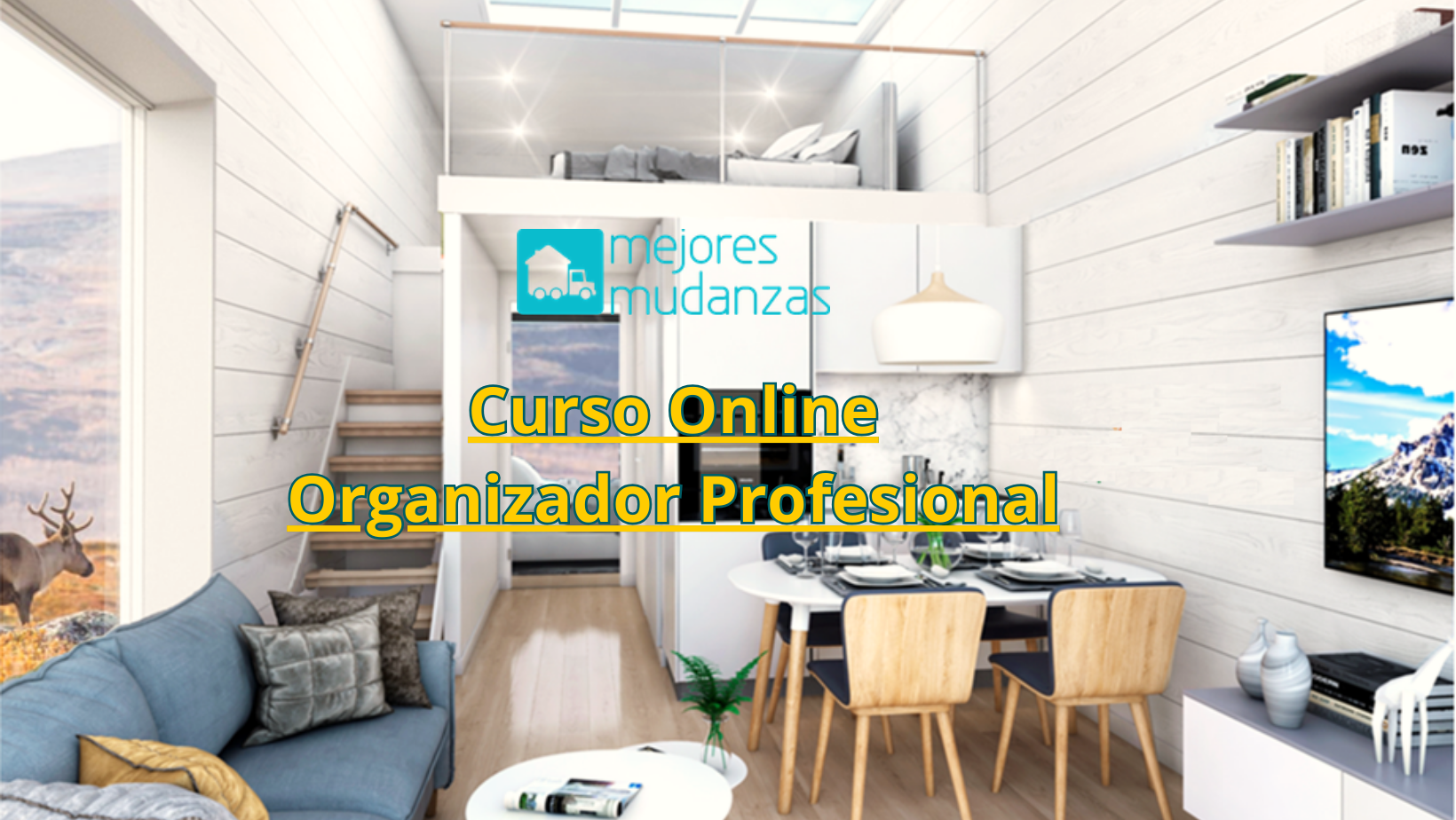Curso Online Organizador Profesional